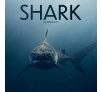 Shark Calendar 2027: Ocean Fins and Deep Blue Waters