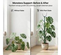 Shein 1/6/12 Piezas Juego de Estacas de Soporte para Planta Monstera 5 Estacas + 1 Rollo 1m de Gancho y Bucle Apilable Alto y Duradero Soporte de Enredadera
