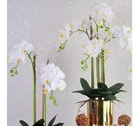 Shein 1/9 piezas Exquisita Orquídea Phalaenopsis Artificial Blanca, Cada Tallo Con 9 Orquídeas Grandes Vibrantes Realistas Al Tacto, Adecuada Para Ramos DIY