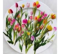 Shein 1 Paquete de 40 Pegatinas de Cuaderno para Mascotas con Flores, Plantas, Mariposas, Material Decorativo Retro, Útiles Escolares para Regreso a Clases