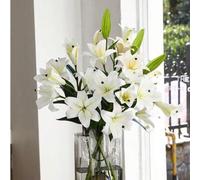 Shein 1 pieza/3 piezas/6 piezas, Flor de Lirio Artificial, Flor de Lirio Artificial de Múltiples Cabezas, Adecuada para Primavera, Hogar, Oficina, Vacacione