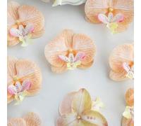 Shein 1 pieza/6 piezas/30 piezas Cabezas de flores de orquídea Phalaenopsis artificiales de PU, flores de orquídea falsas de 3.9 pulgadas al por mayor para