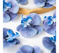 Shein 1 pieza/6 piezas/30 piezas Pétalos de flor de orquídea artificial, Cabezas de orquídea Phalaenopsis de PU falsa de 3.9 pulgadas, Cabezas de orquídea P