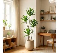 Shein 1 pieza 66-98cm Planta artificial de lirio tropical y bambú, árbol grande falso de dracaena, ramas de árboles de madera de Brasil, hojas de maíz falsa