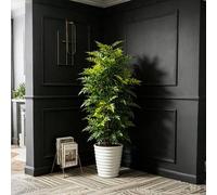 Shein 1 pieza Árbol artificial grande de Nandina de 73-135 cm, árboles de laca realistas, plantas de plástico verde tropical, ramas de palma falsa sin macet