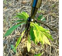 Shein 1 pieza Cabezal de deshierbe vertical - Herramienta manual de 4 puntas para la eliminación de raíces, adecuada para jardín y césped, excavadora de gar