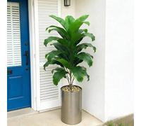 Shein 1 pieza de planta de hoja tropical falsa, 76cm/29.92in con 18/21 hojas, hoja de palma decorativa realista de color verde para decoración del hogar int