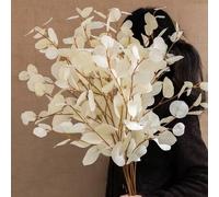 Shein 1 pieza Hoja de eucalipto artificial larga tipo manzana, planta verde, decoración estilo Ins para hotel, boda, color otoñal, rama individual
