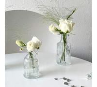 Shein , 1 pieza Jarrón de cristal transparente de 100/150/200/250ml - Jarrón pequeño para flores - Jarrón decorativo p