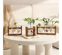 Shein 1 pieza Jarrón de flores hidropónico de marco de madera creativo, terrario para plantas, decoración de escritorio para el hogar/oficina