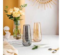 Shein 1 pieza Jarrón de vidrio minimalista y creativo para plantar, jarrón de vidrio transparente para decoración de flores en la sala de estar, decoración