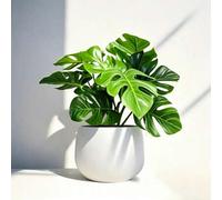 Shein 1 pieza Planta artificial de Monstera, Monstera falsa de 6 pulgadas con maceta blanca de 6 pulgadas, adecuada para escritorio, decoración de mesa de c