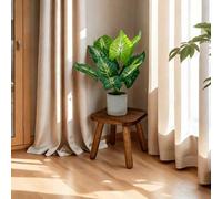 Shein 1 pieza Soporte de planta medieval de madera, soporte de planta interior, banco de zapatos, taburete, mesa para maceta de flores, adecuado para planta