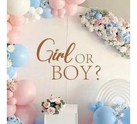 Shein 1 Set de calcomanías decorativas autoadhesivas y removibles con logotipo para decoración de arco de pared para fiesta de revelación de género de baby