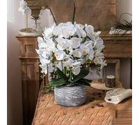 Shein 10/5/1 pieza Tallo de orquídea Phalaenopsis artificial, 70cm/27.56in Tallo de orquídea Phalaenopsis realista, orquídea de seda decorativa; adecuado pa