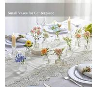 Shein 10 piezas de jarrones de vidrio transparente mini con relieve para capullos de flores, jarrones de vidrio transparente pequeños con textura vintage, c