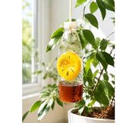 Shein 12 piezas Trampas reutilizables para avispas, abejas y avispones, herramientas de apicultura estilo embudo, aptas para uso interior y exterior, trampa