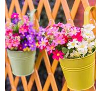 Shein 3 piezas Macetas de flores arcoíris de 4 pulgadas, macetas colgantes pequeñas para exteriores, arte de hierro metálico, para barandilla de balcón, cer