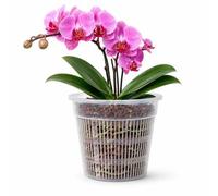 Shein 5 piezas Macetas transparentes con agujeros de drenaje, macetas de plástico para orquídeas de 5.51 pulgadas con agujeros de ventilación, adecuadas par