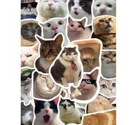 Shein 50 piezas de pegatinas divertidas de gatos para funda de teléfono, portátil, botella de agua, cuaderno, pegatinas decorativas resistentes al agua - re