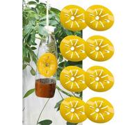 Shein 6/12 piezas Trampa para avispas, botella atrapa avispas reutilizable, trampa para abejas, trampa para avispas, herramientas de apicultura con embudo p