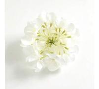 Shein 6 piezas de flores artificiales de hortensias blancas con tallos, cabezas de flores falsas de poliéster, adecuadas para decoración del hogar, decoraci