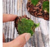 Shein 6 piezas de rocas de musgo artificial, bolas y piedras de musgo falso verde DIY, adecuadas para arreglos florales, jardín de hadas y manualidades, mat