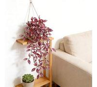 Shein 75cm Enredadera artificial de hojas, plantas colgantes falsas, hojas de seda, enredaderas envueltas en bambú verde, adecuadas para decoración del hoga