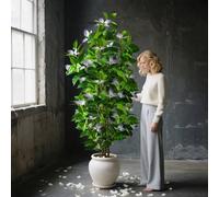 Shein 82-144cm Ramas de árbol de palma artificial, tacto realista, hojas de ficus, adecuado para decoración del hogar, jardín, oficina, no incluye 1 pieza