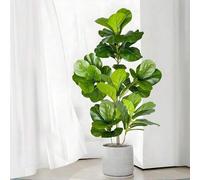 Shein Árbol de banyan artificial grande de 70-135 cm, rama de planta de goma con hojas de plástico de ficus, adecuado para decoración del hogar, jardín, int