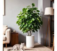 Shein Árbol de dinero artificial grande de 45-95cm, plantas de eucalipto falsas, árboles de higuera tropical, rama de plástico, hojas de monstera, hojas de
