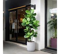 Shein Árbol de Ficus artificial de 70-135 cm, árbol de goma falso, Ficus decorativo grande, hojas de Ficus de plástico, verde tropical, decoración de paisaj