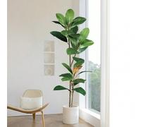 Shein Árbol de magnolia artificial de 55-110 cm, rama de goma tropical de ficus, decoración de hojas de plástico de textura realista, adecuado para el hogar