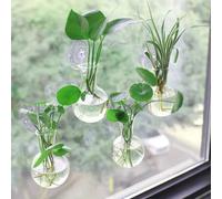 Shein Botella moderna de propagación de plantas de pared colgante, jarrón colgante de flores, maceta redonda para decoración del hogar, tema de plantas, tal