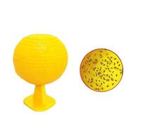 Shein Paquete de 10 trampas adhesivas esféricas para moscas de la fruta y mosquitos de los hongos (amarillas) - trampas para insectos para plantas de interi