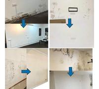 Shein Pintura de pared naranja, viene con rodillo grande, pintura látex a base de agua; Pintura de reparación y limpieza de paredes a base de agua blanca; R