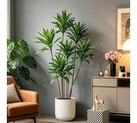 Shein Planta artificial de madera de Brasil grande de 66-98 cm, árbol de Dracaena alto y realista, lirio de bambú de plástico, rama de maíz, árboles de Ficu
