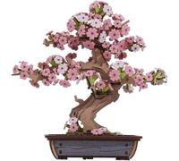 Shein Rompecabezas 3D de bonsái Sakura de Rolife: cerezo artificial de madera, modelo de bonsái de pino, kit de bricolaje para decoración del hogar y la ofi