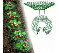 Shein Soporte para planta de fresa, paquete de 2/10, bastidores para cultivar fresas con 4 patas resistentes, marco de cultivo de fresas para mantener las b