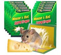 Shein Trampa para ratas con pegamento fuerte sabor Lep Buy Trampa Flere Trampa adhesiva para insectos. Trampas de pegamento súper adhesivas para ratas, Tram