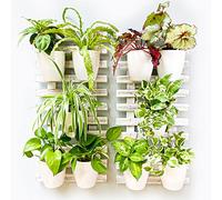 ShopLaLa Hanging Planter