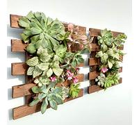 ShopLaLa Jardinera de Pared - Pack de 2 Decoraciones de Pared de Madera para Plantas suculentas, orquídeas de Aire Vivo, Soporte de Pared para Interiores y Exteriores, decoración de Pared, balcón