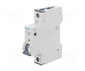 SIEMENS 5SY6102-6 Interruptor magnetotérmico