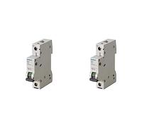 Siemens Ingenuity for life - 5SL6120-7 Interruptor magnetotérmico 1P 20A (Paquete de 2)