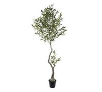 SIGNES GRIMALT Árbol Olivo Artificial con Tronco Retorcido y Hojas de Color Verde Grisáceo en Maceta, Planta de Suelo, 210 cm