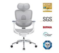 Sihoo Doro C300 Pro V2 Silla De Oficina Ergonómica Sin Reposapiés, Soporte Adaptativo Para Todo El Cuerpo (blanco)