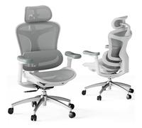 SIHOO Doro C300 - Silla de Oficina ergonómica con reposabrazos Ultra Suaves en 3D, Soporte Lumbar dinámico para Silla de Oficina en casa, Respaldo Ajustable para Silla de Escritorio (Gris)