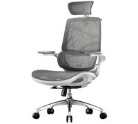 SIHOO M59AS Silla de Oficina Ergonómica con Reposabrazos 3D Plegables, Respaldo Doble y Soporte Lumbar Dinámico, Silla de Malla para Oficina en Casa(Gris)