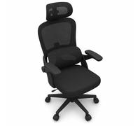 SIHOO Silla de Oficina ergonómica M102 con Soporte Lumbar dinámico
