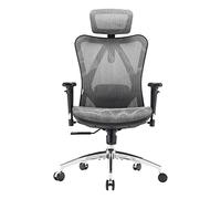SIHOO Silla de Oficina Ergonómica, Silla de Escritorio, Respaldo Alto, Transpirable, Silla de Malla, con Reposabrazos 3D y Soporte Lumbar Ajustables(Gris)